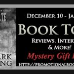 Dark Passing Book Review (Contest)