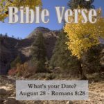 Your Daily Bible Verse Book Review