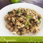 Organic Chicken & Quinoa Salad with Mushrooms & Broccoli