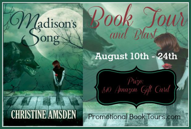 madisons-song-tour-banner-