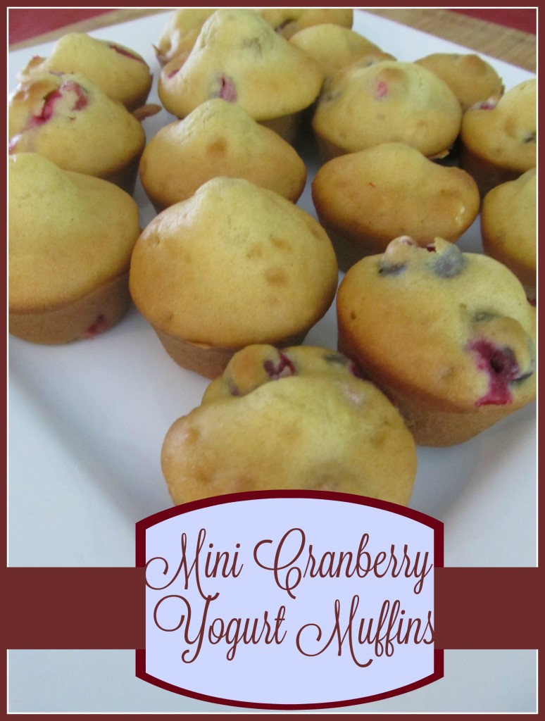 mini cranberry yogurt muffins