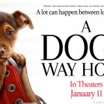 A Dog's Way Home Movie Release and Giveaway