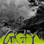 Review of GRAY by Rachel Karns