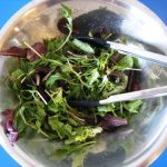 Edible Wild Weeds: Spring Salad Recipe