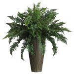 Indoor Plants for your Business