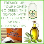 Eco-Friendly Spring Cleaning Tips