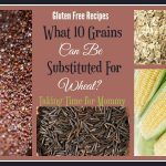 Gluten Free Recipes – What 10 Grains Can Be Substituted For Wheat?
