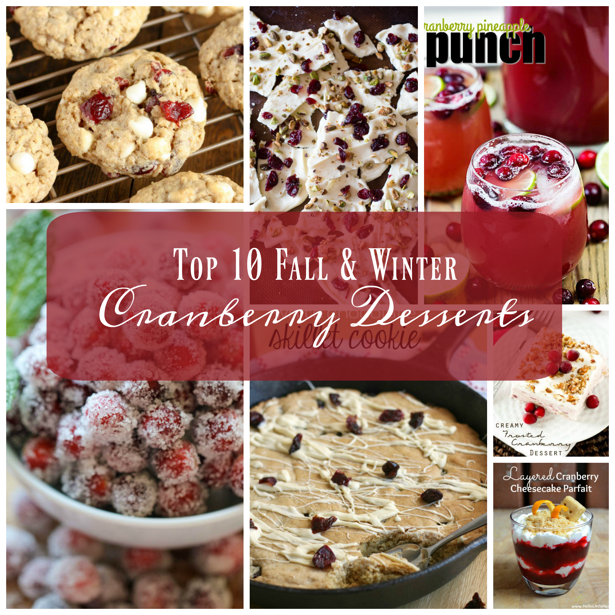 Top 10 Fall and Winter Cranberry Desserts