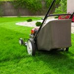 10 year round lawn care tips